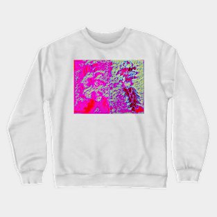 The Rainbow Pattercake Crewneck Sweatshirt